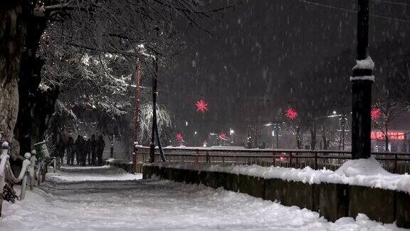城市人行道和暴风雪的夜晚美丽的冬天公园里的树被雪覆盖着