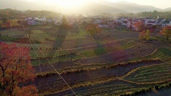 中国安徽鲁村的乡村景观