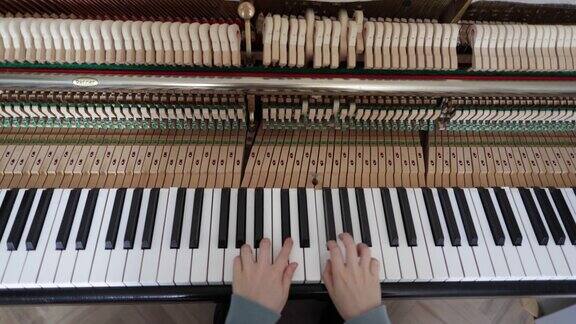 小学生弹钢琴