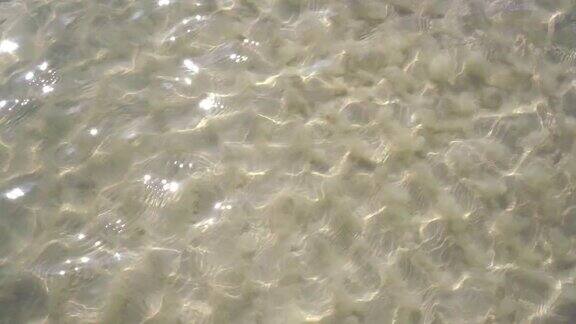 加勒比海白色沙滩透明海浪
