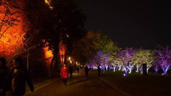 南京城市夜景时间照明著名的湖滨拥挤的公园道路全景4k中国