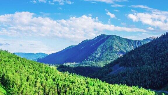 鸟瞰新疆的绿色森林和山地景观