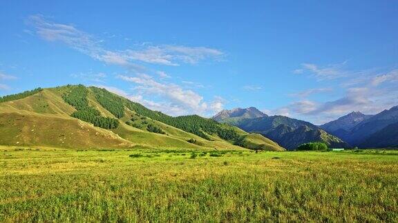 新疆草原自然景观优美