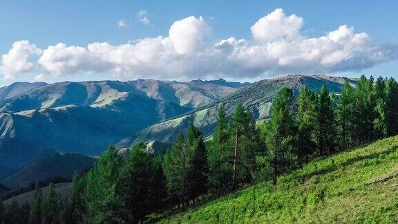 新疆有绿色的森林和高山自然景观