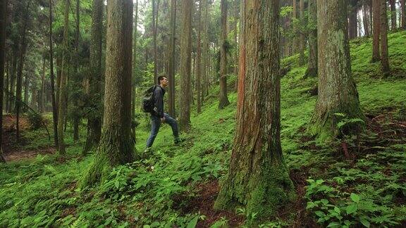 一个年轻人在森林里散步