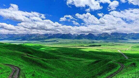 新疆绿色草原自然景观