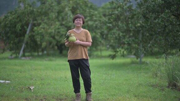 满意的亚洲中国女农民从果树采摘柚子在她的种植园收获看着相机微笑