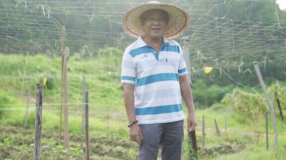 一位在农场工作的亚洲华人老年人在他家的后院度过了他们的退休时光