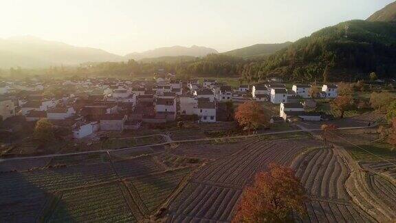 中国安徽鲁村的乡村景观