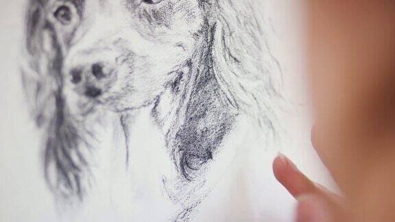 近距离的艺术家坐在画架上画的狗在木炭