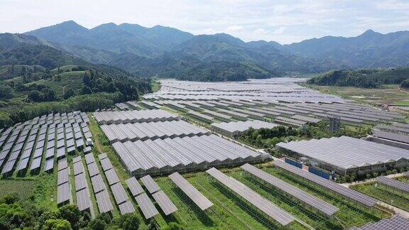 山谷农场宏伟的太阳能发电厂的鸟瞰图