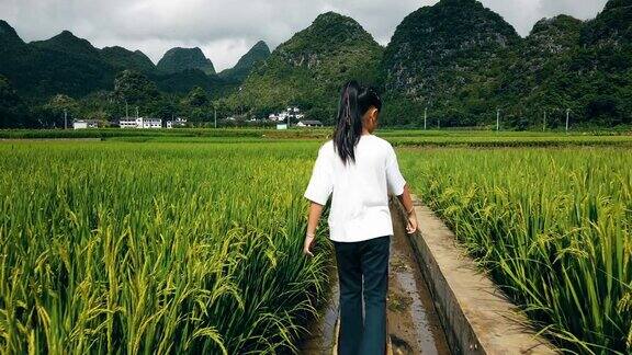 小女孩在中国贵州的稻田里散步