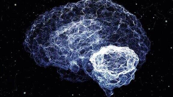 来自粒子漩涡的大脑