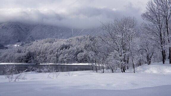 日本长野湖的冬季风景是美丽的冬季风景