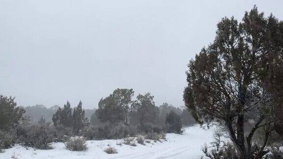 暴风雪暴风雪在强风科罗拉多冬季降雪在山脉沙漠和河流极端天气条件视频系列