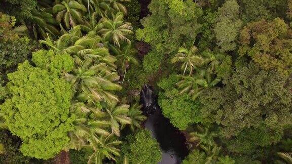 澳大利亚昆士兰州坦伯林山柯蒂斯瀑布被亚热带雨林包围的鸟瞰图