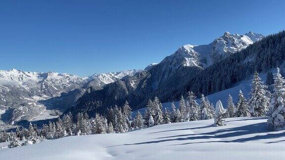 滑雪胜地的白雪树和粉雪