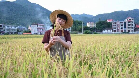 一位年轻的农妇在一片成熟的稻田里劳作