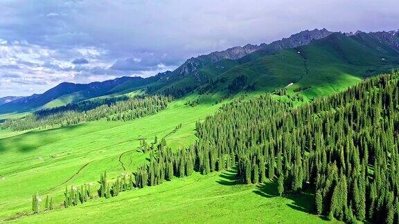 新疆绿色草原自然风光