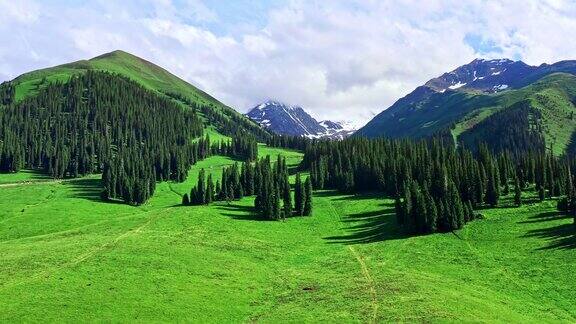 鸟瞰新疆的绿色草原和山地