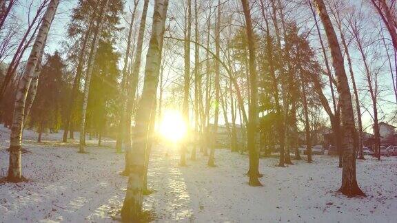 冬季风景日落与积雪覆盖的森林小径
