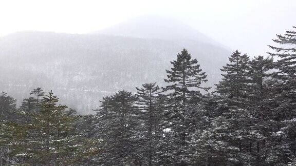 西努普考什努普里山发生暴风雪