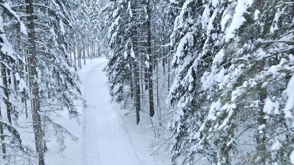 航拍积雪的森林道路