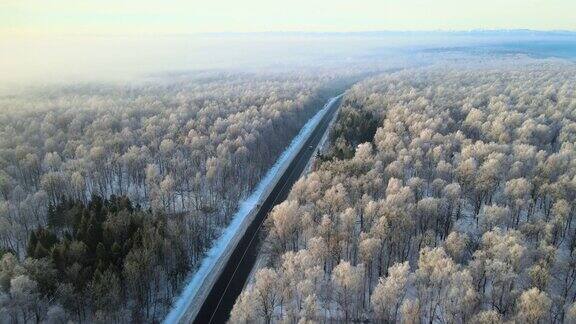 冬季景观鸟瞰图积雪覆盖的森林和黑色沥青森林道路在寒冷的冬天