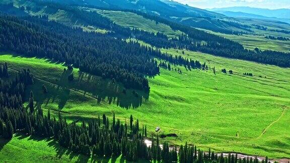 新疆绿色草原鸟瞰图