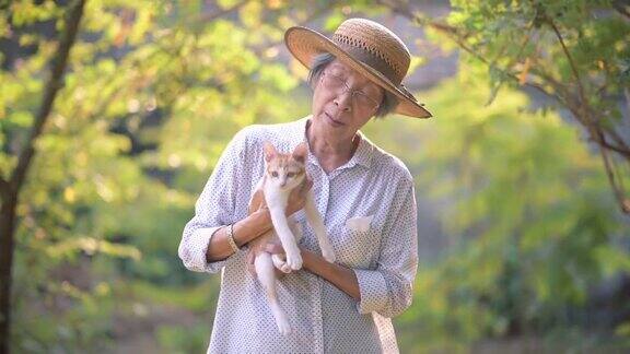 年长的亚洲女人与猫