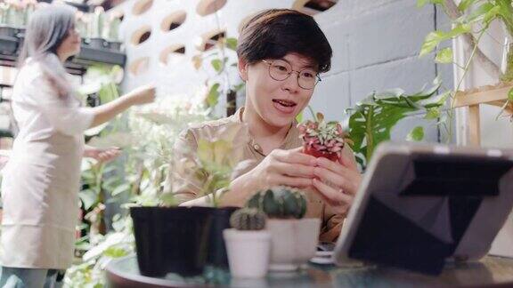 微笑的年轻亚洲女商人的生意出售仙人掌或Caladium通过笔记本电脑销售实时社交媒体目前企业在花园网上销售植物的家小型企业树