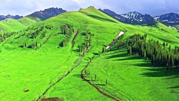 新疆绿色草原自然风光鸟瞰图