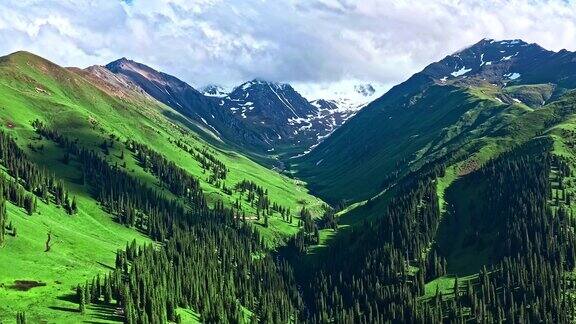 新疆绿色草原和山地鸟瞰图