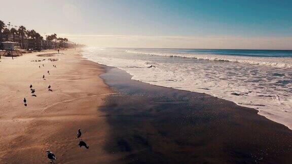空中跟踪拍摄美丽的日出闪闪发光的海洋和沙子海鸥飞