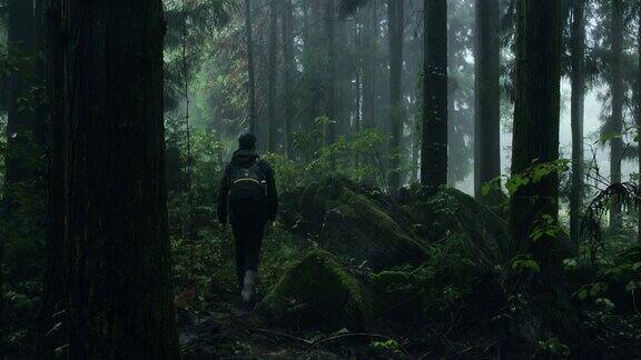 雨中有雾人在森林里行走