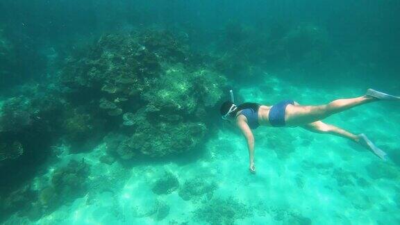 年轻女子在珊瑚礁周围潜水