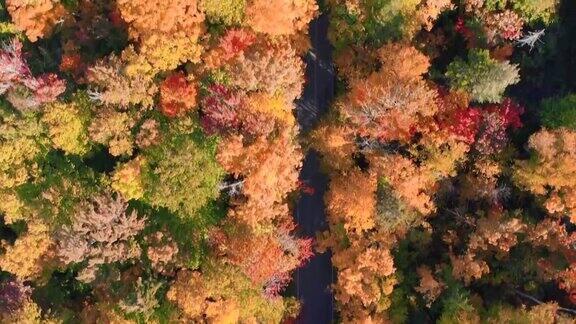 加拿大魁北克省秋天多色北方森林和劳伦山景观的鸟瞰图