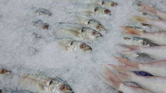 超市里的冰鱼