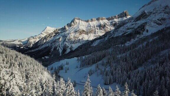 在瑞士阿尔卑斯山脉无人机飞近白雪皑皑的树木冬季美丽的群山航拍画面