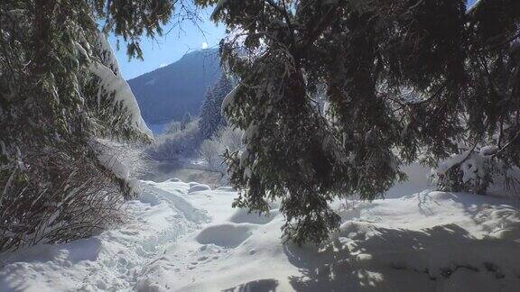 冬天的童话在泽伦奇自然保护区覆盖了一层新雪毯
