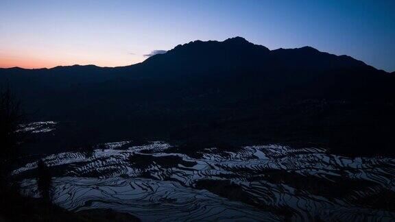 中国鸳鸯梯田上的稻田
