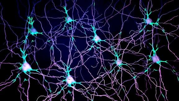 传递信息的神经元细胞