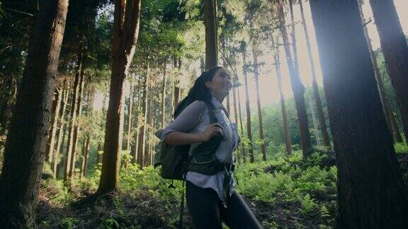 背着背包的女人穿过夏天的森林
