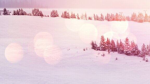 动画的冬季风景景观与亮点山和杉树覆盖的雪