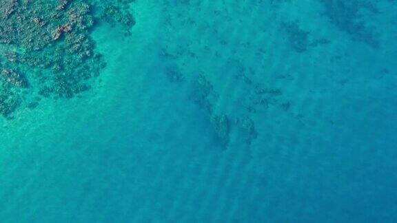 鸟瞰图水晶清晰的热带蓝色水海水从上面