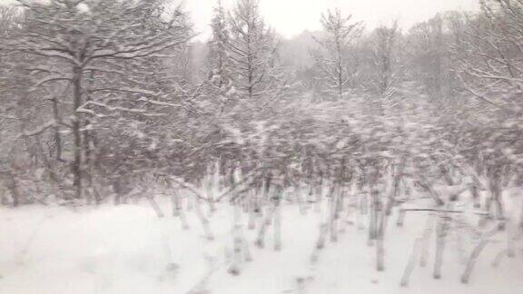 从巴士上看北海道正在下雪