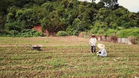 一位老人和他的儿子早上在农场例行工作
