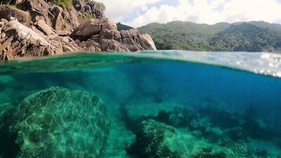 清澈的海水里的珊瑚礁泰国