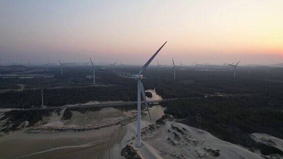 航拍的一个风力发电厂在一个遮蔽森林在海滩上日落