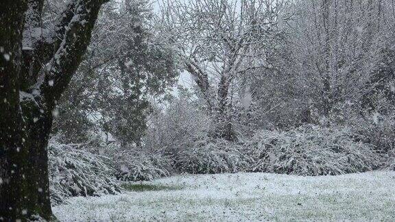 雪落在花园里的时间流逝法国慢动作